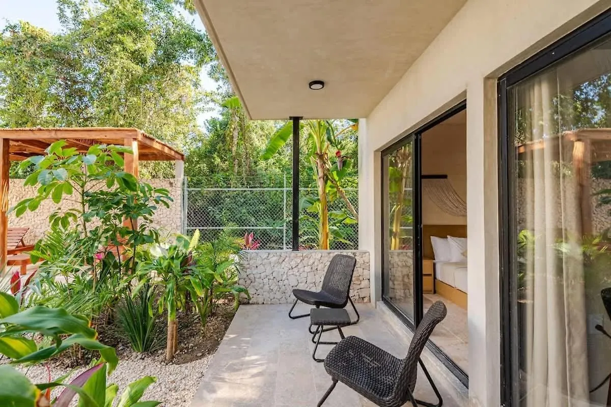Moderno Retiro En La Selva Con Alberca Y Wifi Apartment Tulum